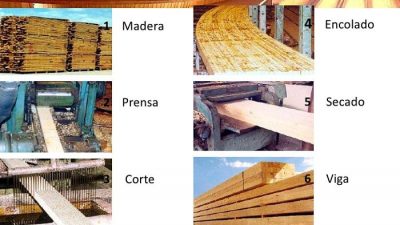 Proceso de fabricación de la madera